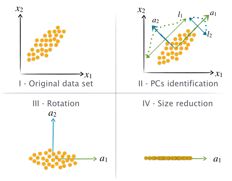 PCA_scheme.0011