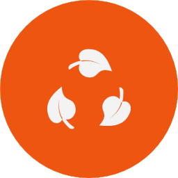 Novel combustion technologies
