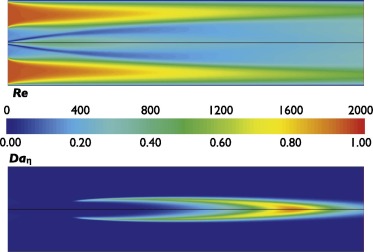 Latest publication is online